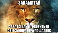 запамятай зараз з вами говорить не світський лев , а лошаднік