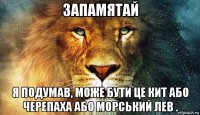 запамятай я подумав, може бути це кит або черепаха або морський лев .