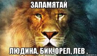 запамятай людина, бик, орел, лев .