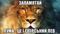 запамятай пума - це і є гірський лев .