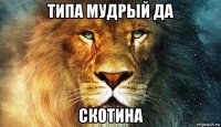 типа мудрый да скотина