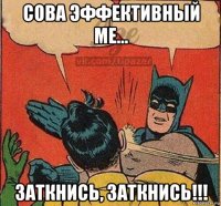 сова эффективный ме... заткнись, заткнись!!!