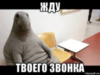 жду твоего звонка