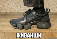  живанши