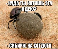 - куда ты катишь эту идею? - сибирю на хотдоги