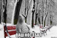  ваш нос ебал
