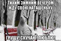 тихим зимним вечером жду свою наташеньку грущу! скучаю! люблю!