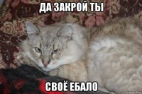 да закрой ты своё ебало