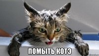  помыть котэ