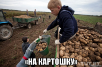  «на картошку»