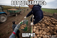 вот где беларусь шарит