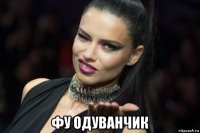  фу одуванчик