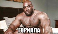  горилла