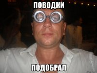 поводки подобрал