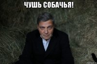 чушь собачья! 