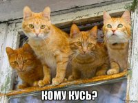  кому кусь?