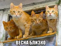  весна близко