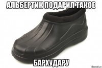 альбертик подарил такое бархудару