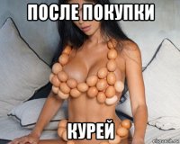 после покупки курей