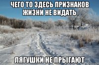 чего то здесь признаков жизни не видать лягушки не прыгают