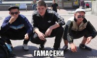  гамасеки