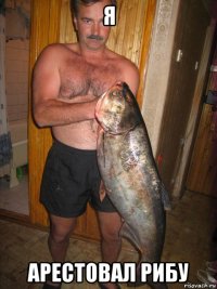 я арестовал рибу
