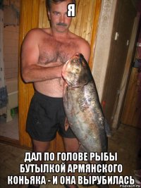 я дал по голове рыбы бутылкой армянского коньяка - и она вырубилась