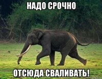 надо срочно отсюда сваливать!