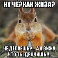 ну чё?как жиза? чё делаешь?... а я вижу что ты дрочишь!!!