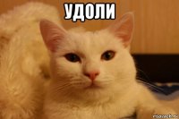 удоли 