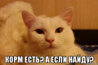  корм есть? а если найду?