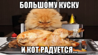 большому куску и кот радуется...