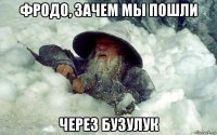 фродо, зачем мы пошли через бузулук
