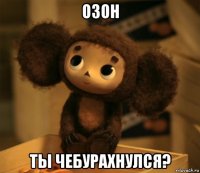 озон ты чебурахнулся?