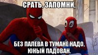 срать, запомни, без палева в тумане надо, юный падован.
