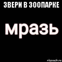 звери в зоопарке 