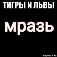 тигры и львы 