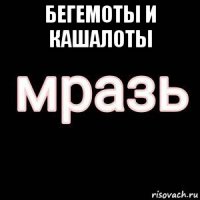 бегемоты и кашалоты 