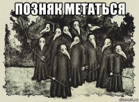 позняк метаться 