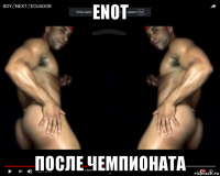 enot после чемпионата