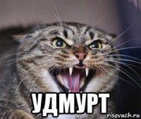  удмурт