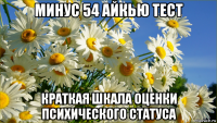 минус 54 айкью тест краткая шкала оценки психического статуса