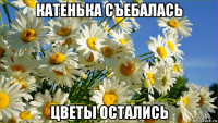 катенька съебалась цветы остались