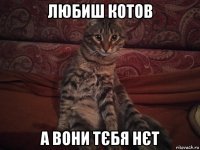 любиш котов а вони тєбя нєт
