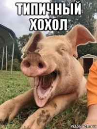 типичный хохол 