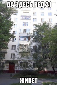 да здесь ред 21 живет
