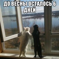 до весны осталось 6 дней 