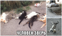  человек зверь