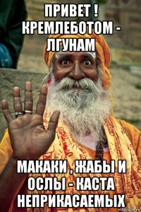 привет ! кремлеботом - лгунам макаки , жабы и ослы - каста неприкасаемых