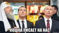  кошка писает на нас